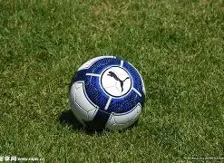 中国男篮,十年最佳战,绩后,乐鱼体育官网,乐鱼体育平台,乐鱼体育链接,乐鱼体育官方