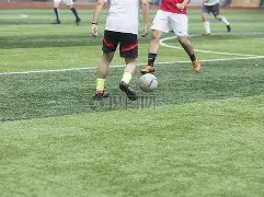 乐鱼体育,资讯,乐鱼体育官网,乐鱼体育官网,乐鱼体育平台,乐鱼体育链接,乐鱼体育官方