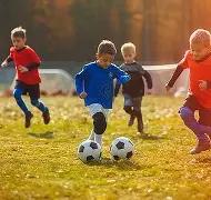 乐鱼体育,资讯,乐鱼体育官网,乐鱼体育官网,乐鱼体育平台,乐鱼体育链接,乐鱼体育官方