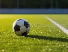 华安黄金股,跌幅达,乐鱼体育,乐鱼体育官网,乐鱼体育平台,乐鱼体育链接,乐鱼体育官方