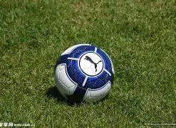 武汉青少年,篮球训练营,乐鱼体育,乐鱼体育官网,乐鱼体育平台,乐鱼体育链接,乐鱼体育官方