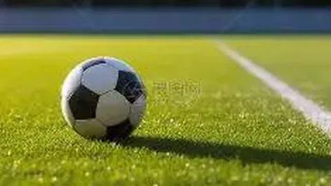 光迅科技(002281)：近一年及最新一期财务报告与审计概况