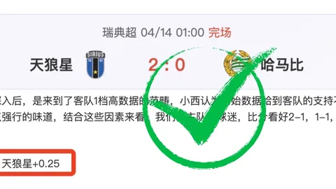 荷甲焦点战：埃因霍温与乌德勒支交锋，乌德勒支教头获年度最佳教练殊荣