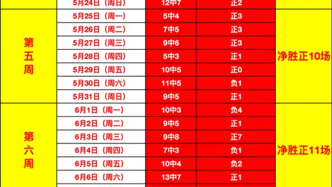 乐鱼体育 080706 93